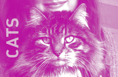 HELP THE CATS :: Our First Ever Competition!