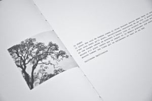 henriquemartins-chove-11