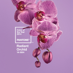 Pantone® Colour of the Year 2014
