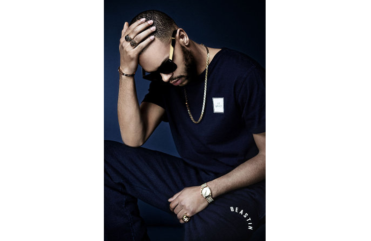 Beastin :: Blue Cheese SS14 | People of Print