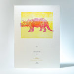 Albatro Design: Natural History Cards