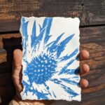 Dungarees + Squeegees | Cyanotype